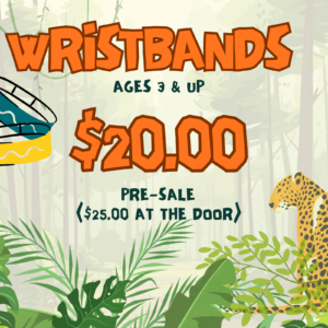 2026 Carnival Wristband